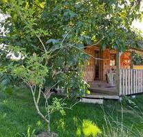 Tiny House zu vermieten im Südschwarzwald - Dachsberg (Südschwarzwald)