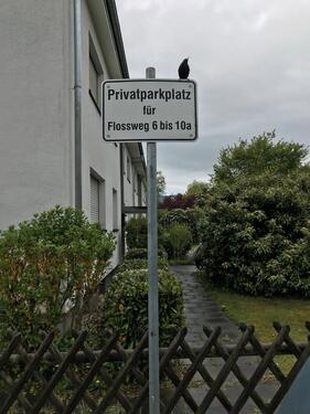 Foto - Etagenwohnung zur Miete in Dorsten