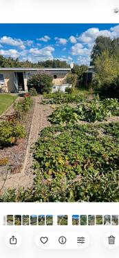 Foto - Grundst&uuml;ck zur Miete in Papendorf