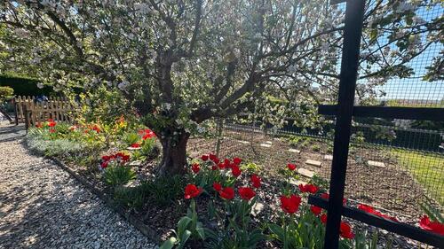 Foto - Grundst&uuml;ck zur Miete in Gera