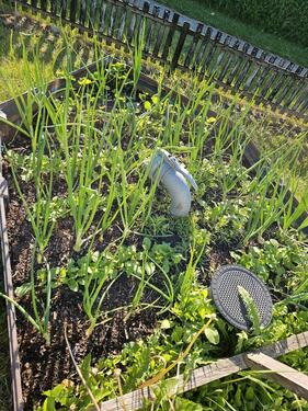 Foto - Grundst&uuml;ck in Lambrechtshagen