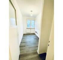 ab 01.06.2026 - 1 Raum Wohnung inkl. Küche hell sehr ruhige Lage - Greifswald