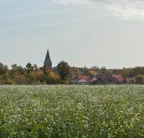 Liebevoll saniertes Häuschen im Wendland ohne Makler - Lüchow (Wendland)
