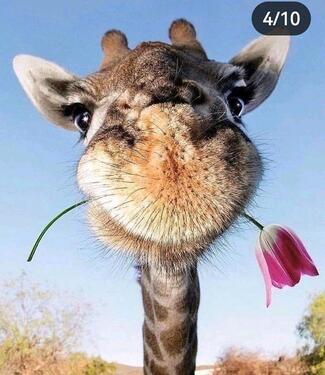 Foto - Wohnung erwünscht - 1.200,00&nbsp;EUR Kaltmiete, ca.&nbsp; 70,00&nbsp;m&sup2;