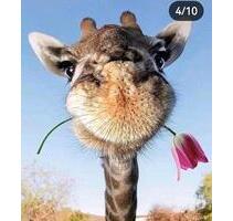 Wohnung erwünscht - 1.200,00&nbsp;EUR Kaltmiete, ca.&nbsp; 70,00&nbsp;m&sup2; in Neu-Isenburg (PLZ: 63263)