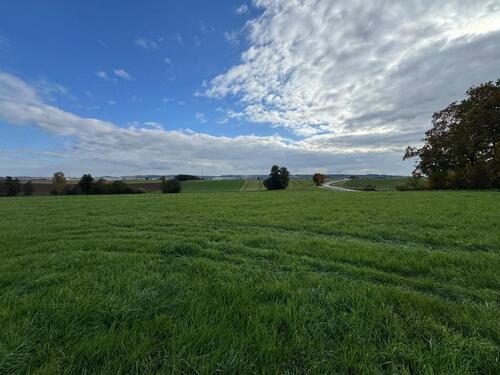 Foto - Ideal für Pendler!!! Attraktive Bauplätze Nähe Bahnhof und A8