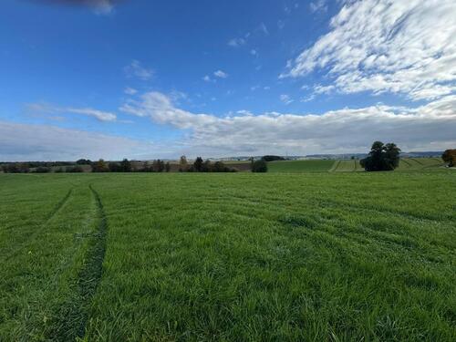Foto - Grundst&uuml;ck in Zusmarshausen