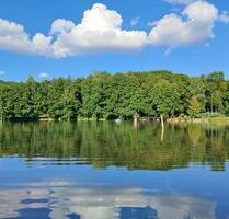 Traumhaftes Anwesen mit Badesee, Pferdestall, Koppel, Koibecken.. - Naumburg (Saale)