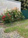 Foto - 4-Raum-Wohnung mit 87 m2 - 785,00 EUR Kaltmiete,