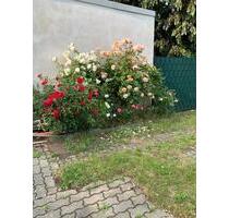 4-Raum-Wohnung mit 87 m2 - 785,00 EUR Kaltmiete, in Halberstadt (PLZ: 38820)