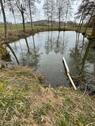 Foto - Angelweiher, Angelsee, Karpfenweiher, Fischteich