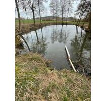 Angelweiher, Angelsee, Karpfenweiher, Fischteich - Schillingsfürst