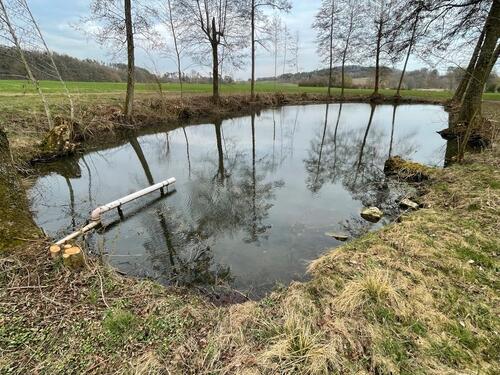 Foto - Grundst&uuml;ck zur Miete in Schillingsfürst