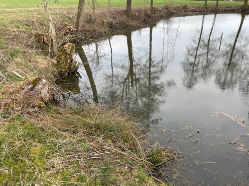 Foto - Grundst&uuml;ck in Schillingsfürst