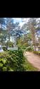 Foto - Stellplatz auf Campingplatz am Klempowsee