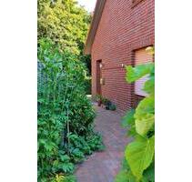 Möblierte, ruhige und helle Singlewohnung. Neu renoviert - Wardenburg