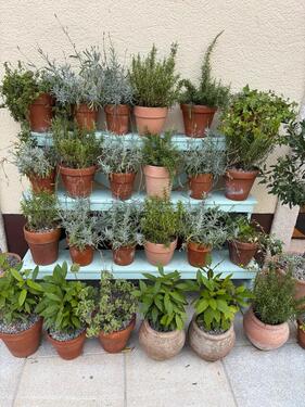 Foto - Gartengrundstück direkt am Bachlauf