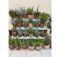 Gartengrundstück direkt am Bachlauf - Gerach