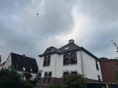Foto - Etagenwohnung zur Miete in Nordenham