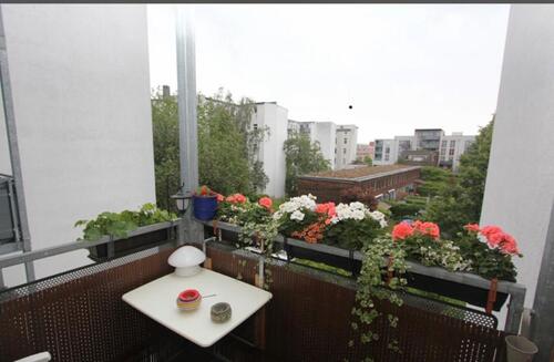 Foto - Etagenwohnung in Halle (Saale) zur Miete