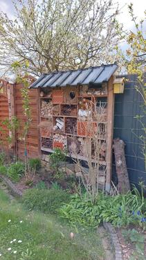 Foto - Einfamilienhaus in Magdeburg zum Kaufen