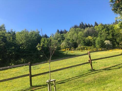 Foto - Etagenwohnung in Prüm