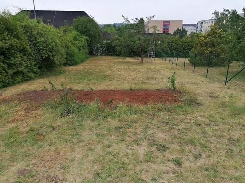 Foto - Garten Grundstück Freizeit- Erholungsgrundstück