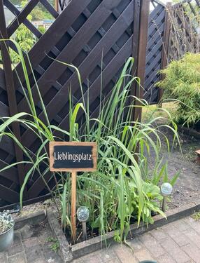 Foto - Grundst&uuml;ck in Großräschen