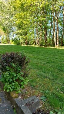 Foto - 3 Zimmer Etagenwohnung zur Miete in Beltheim