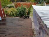 Foto - 5 Zimmer Einfamilienhaus in Bad Belzig