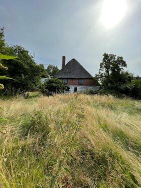 Foto - 4 Zimmer Bauernhaus, Landhaus in Seeth