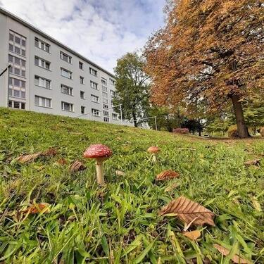 Foto - Erdgeschoßwohnung in Freiberg zur Miete
