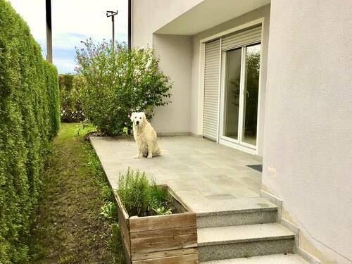 Foto - 6 Zimmer Einfamilienhaus in Weichering