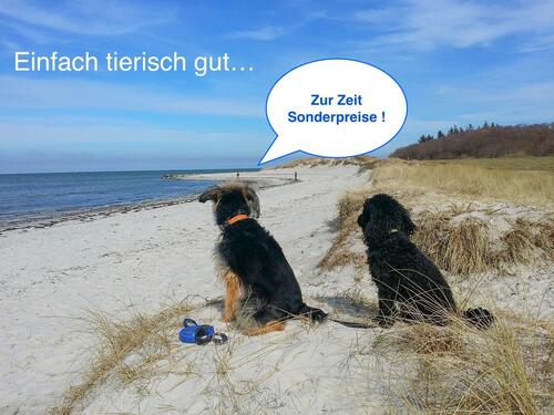 Foto - Urlaub mit Hund Ferienwohnung Ostsee S-H Kieler Bucht Wendtorf ab