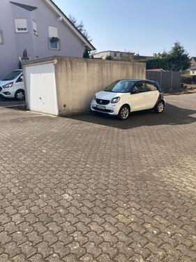 Foto - Stellplatz auf dem Heidstock (Am Bachberg) zu mieten ab 01.02.26