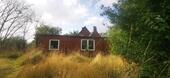 Foto - 7 Zimmer Einfamilienhaus zum Kaufen in Klanxbüll