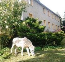 Resthof in Fast - Alleinlage mit 2ha Land - Gefell