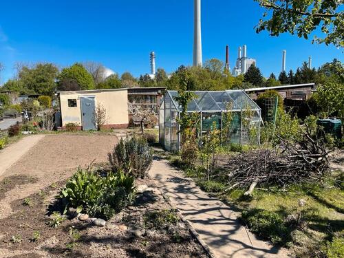 Foto - Schöner Kleingarten im KGV Eichtal