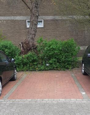 Foto - Einzelstellplatz in MünsterCoerde zu vermieten - ZENTRALE LAGE