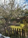 Foto - Schrebergarten mit Holzhaus - 1.900,00&nbsp;EUR Kaltmiete, ca.&nbsp; 0,00&nbsp;m&sup2;
