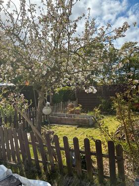 Foto - Schrebergarten mit Holzhaus - 1.900,00&nbsp;EUR Kaltmiete, ca.&nbsp; 0,00&nbsp;m&sup2;