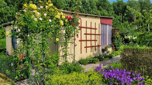 Foto - Kleingarten im KGV „Abendrot“ e.V. in Sanitz zu verpachten
