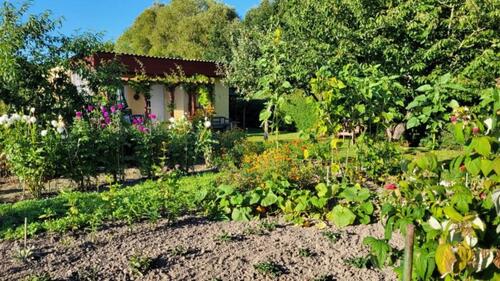 Foto - Grundst&uuml;ck in Sanitz