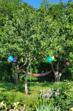 Foto - Grundst&uuml;ck in Sanitz zur Miete