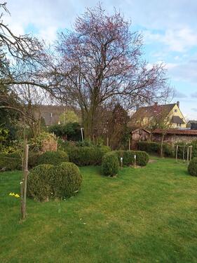 Foto - 5 Zimmer Doppelhaushälfte in Oer-Erkenschwick