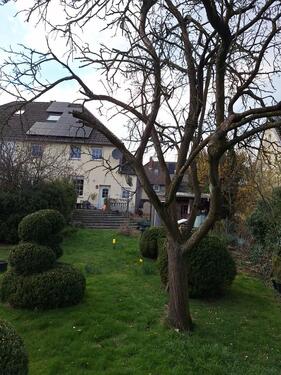 Foto - Doppelhaushälfte in Oer-Erkenschwick zum Kaufen