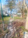 Foto - Garten zum mitgärtnern Gemeinschaftsgarten
