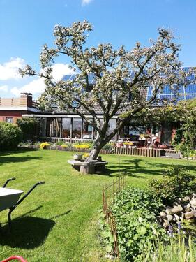 Foto - Nordsee- Ferienwohnung im O.G. In Nordfriesland