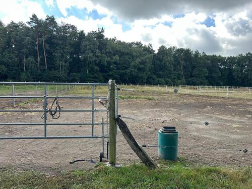 Foto - Etagenwohnung in Bruchhausen-Vilsen zur Miete