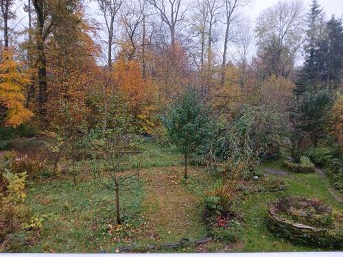 Foto - Einfamilienhaus in Detmold zum Kaufen